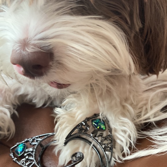 Metal mushroom elf ears new!!! Furries - Picture 6 of 12